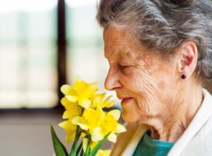 The Changing Sense of Smell in the Elderly
